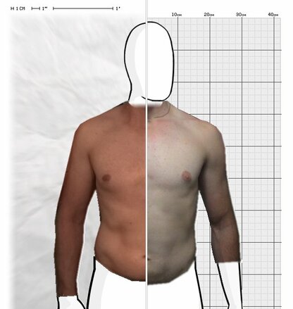 Torso Comparison