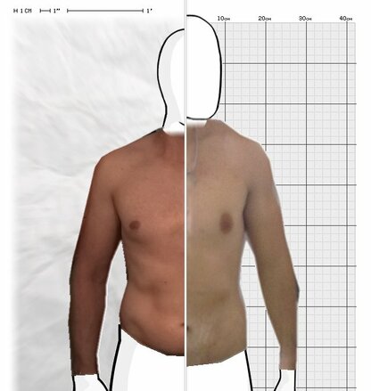 Torso Comparison