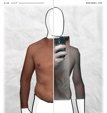 Torso Comparison