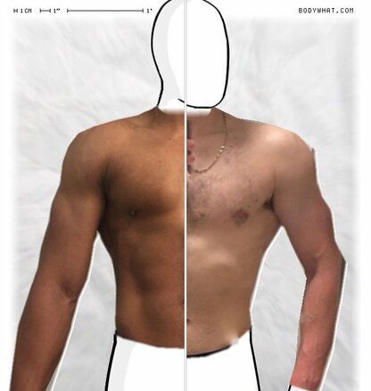 Torso Comparison