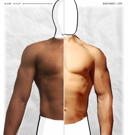 Torso Comparison