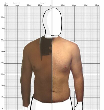 Torso Comparison