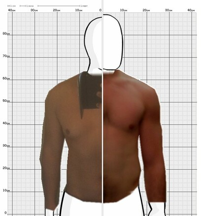 Torso Comparison