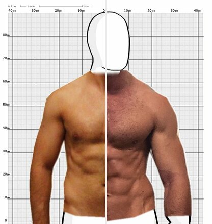 Torso Comparison