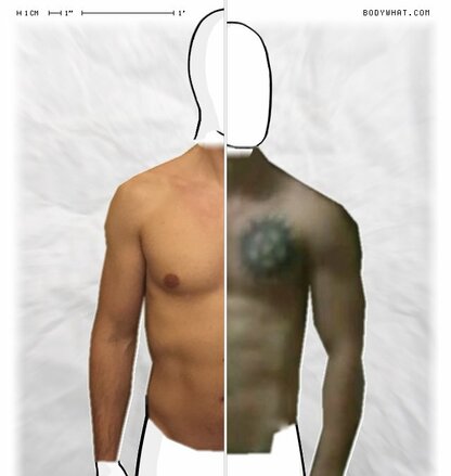 Torso Comparison