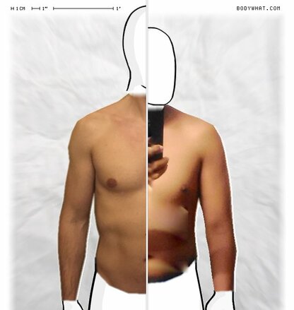 Torso Comparison