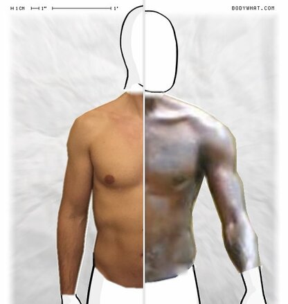 Torso Comparison