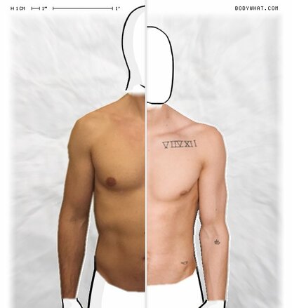 Torso Comparison