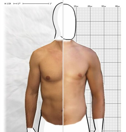 Torso Comparison