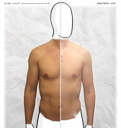 Torso Comparison