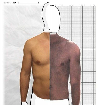 Torso Comparison