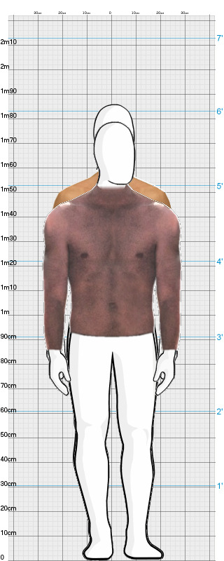 Full Size Comparison