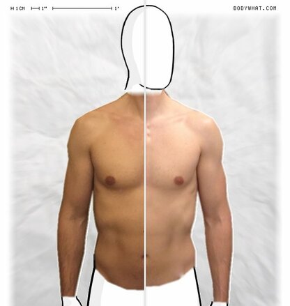 Torso Comparison