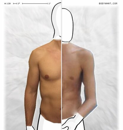 Torso Comparison