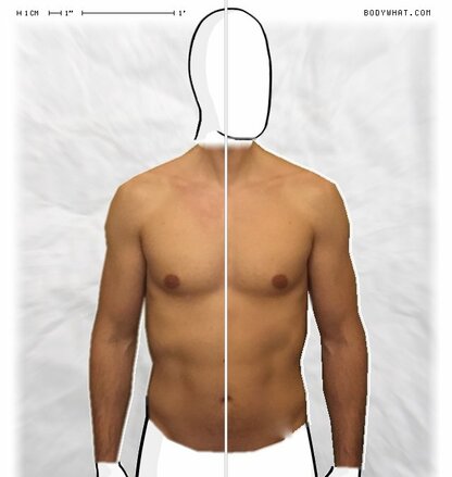 Torso Comparison