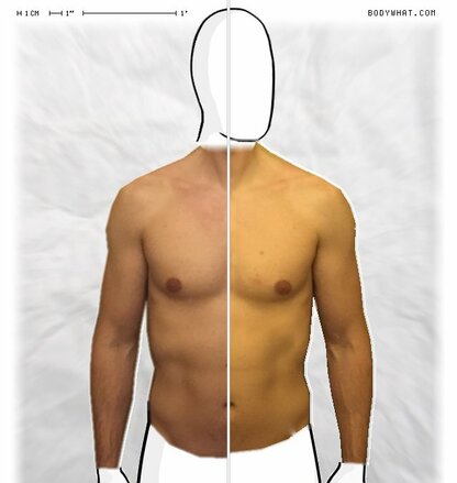 Torso Comparison