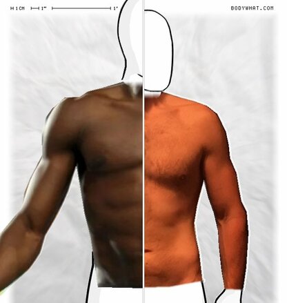 Torso Comparison