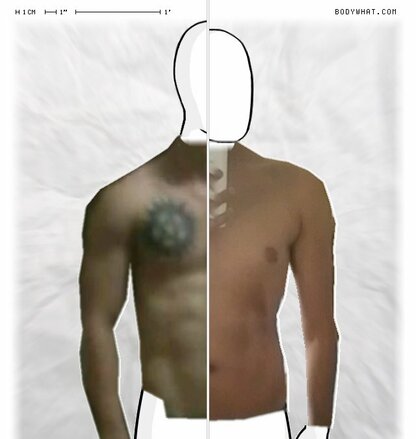 Torso Comparison