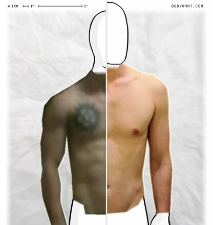 Torso Comparison