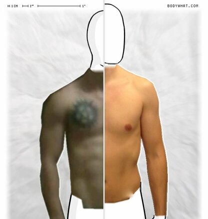 Torso Comparison