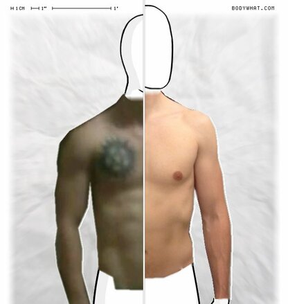 Torso Comparison