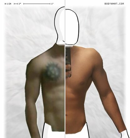 Torso Comparison