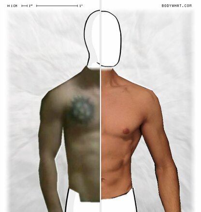 Torso Comparison