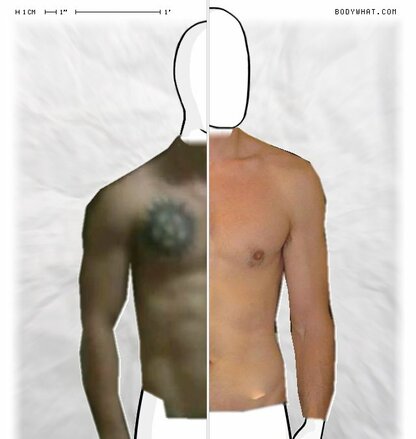 Torso Comparison