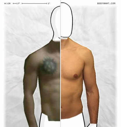 Torso Comparison