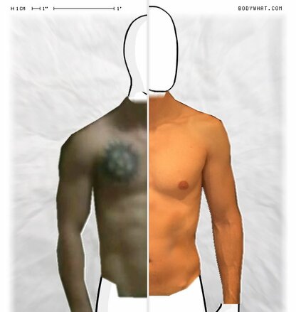 Torso Comparison