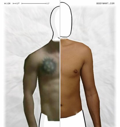 Torso Comparison