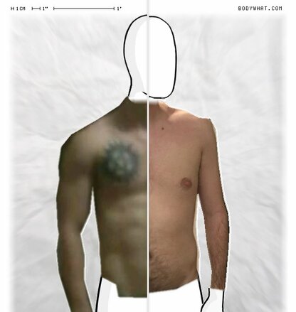 Torso Comparison