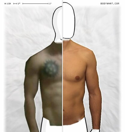 Torso Comparison