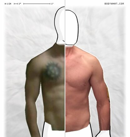 Torso Comparison