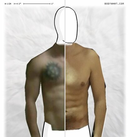 Torso Comparison