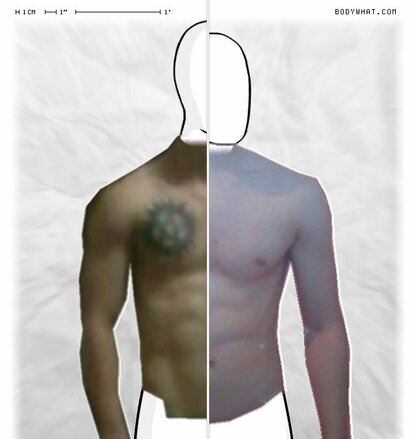 Torso Comparison