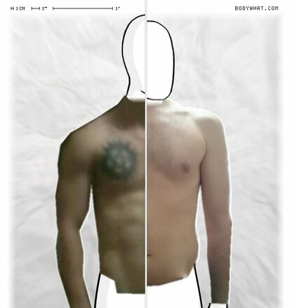 Torso Comparison