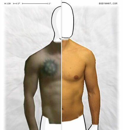 Torso Comparison