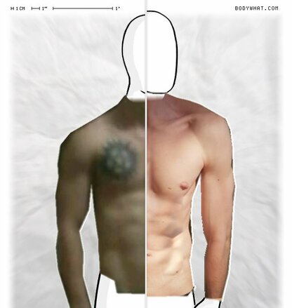 Torso Comparison