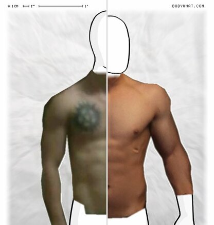 Torso Comparison