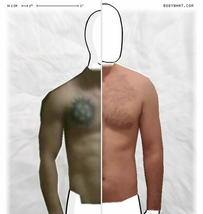 Torso Comparison