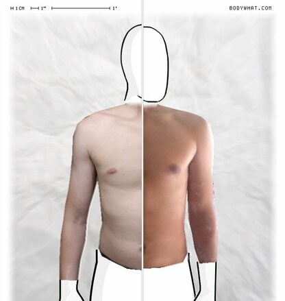 Torso Comparison