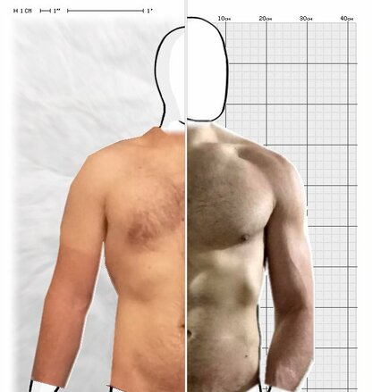 Torso Comparison