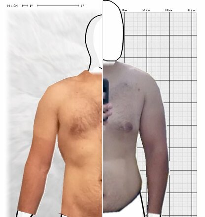 Torso Comparison