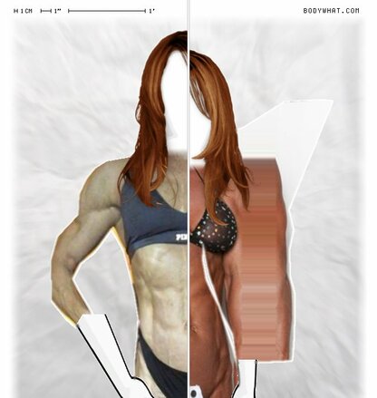 Torso Comparison