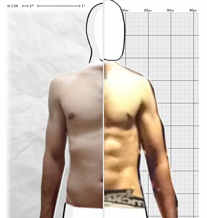 Torso Comparison