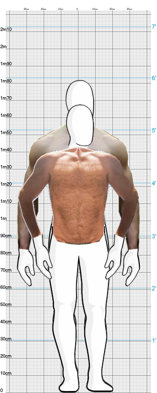 Full Size Comparison