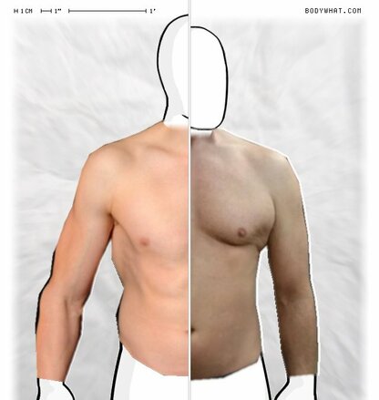 Torso Comparison