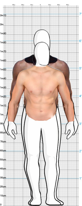 Full Size Comparison