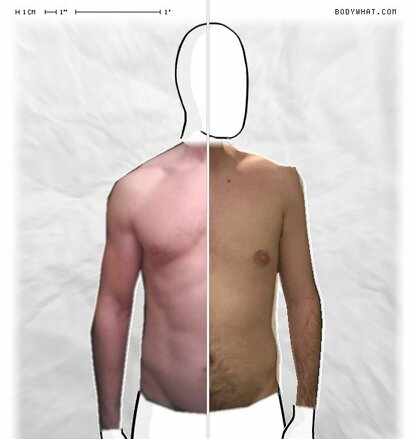 Torso Comparison